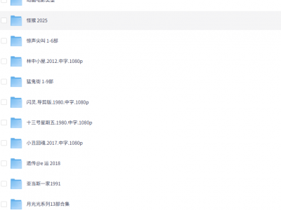 万圣夜恐怖电影片单