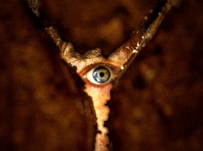 【2026开年惧制】《重返寂静岭》｜寂静岭IP内地银幕首秀！罪与罚的救赎之旅，直面内心最深恐惧。