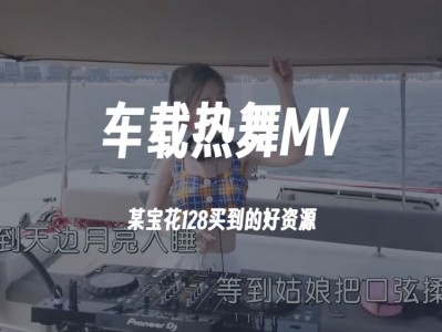 车载热舞MV，DJ音乐资源，某宝花128买到的好资源180G